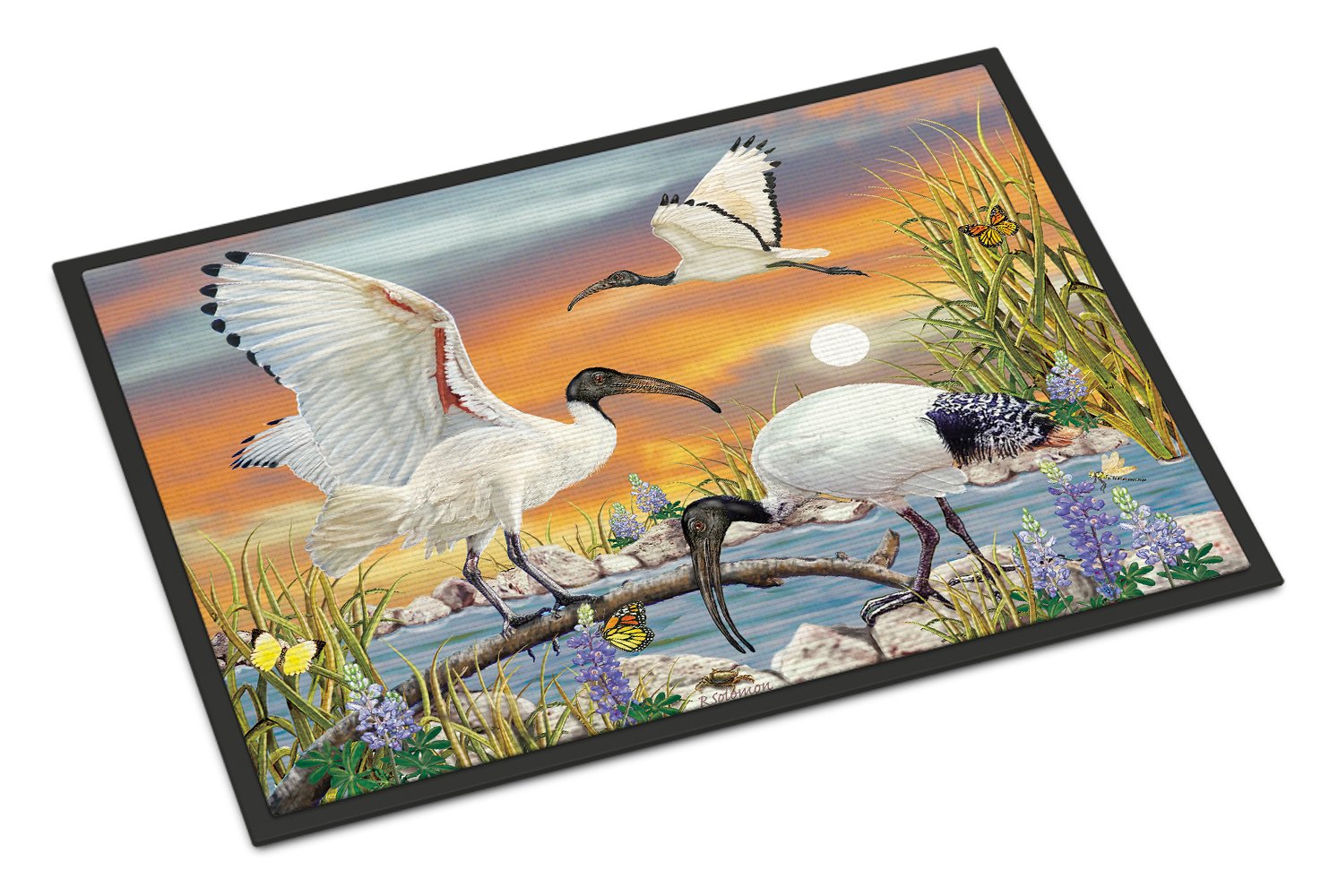 Sacred Ibis Doormat Indoor Outdoor 24H X 36W Front Door Mat Rugs for Entryway, Non Slip Washable Low Pile,
