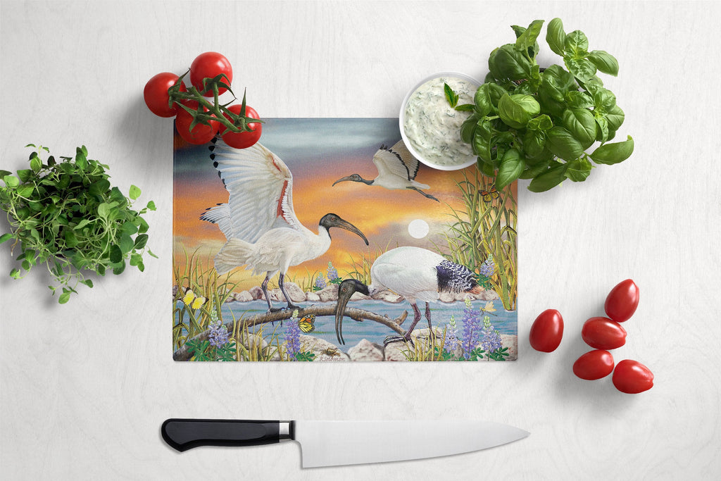 Sacred Ibis Cutting Board Tempered Glass Kitchen Cutting Surface, Heat Resistant Chopping, Non-Slip Feet, Food Prep & Serving