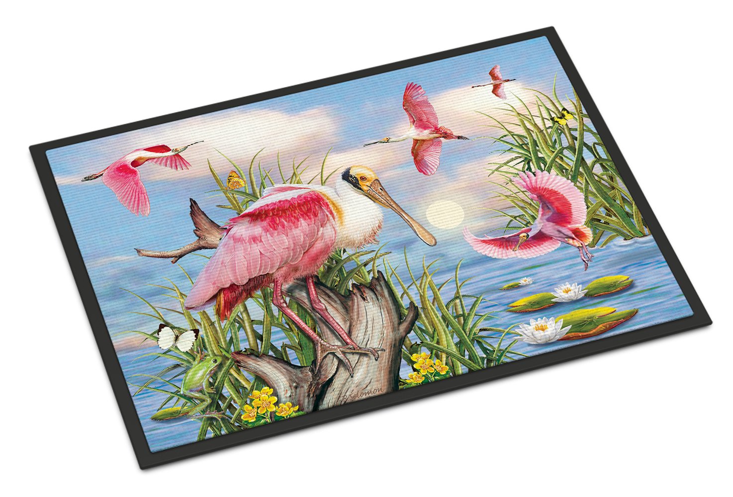 Roseate Spoonbill Doormat Indoor Outdoor 24H X 36W Front Door Mat Rugs for Entryway, Non Slip Washable Low Pile,