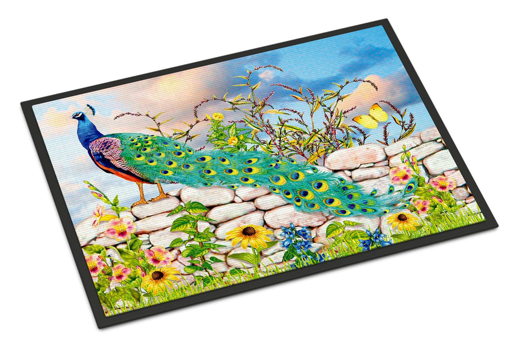 Proud Peacock Doormat Indoor Outdoor 24H X 36W Front Door Mat Rugs for Entryway, Non Slip Washable Low Pile,