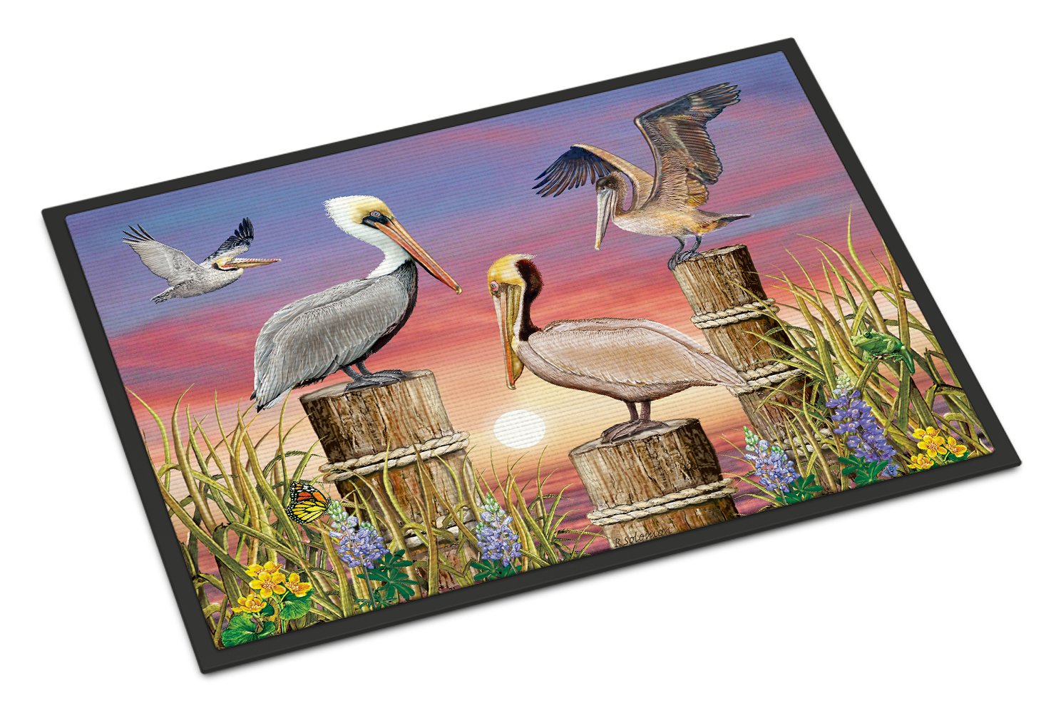 Pelicans Doormat Indoor Outdoor 24H X 36W Front Door Mat Rugs for Entryway, Non Slip Washable Low Pile,