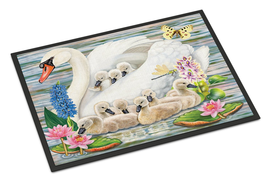 Mother Swan Doormat Indoor Outdoor 24H X 36W Front Door Mat Rugs for Entryway, Non Slip Washable Low Pile,