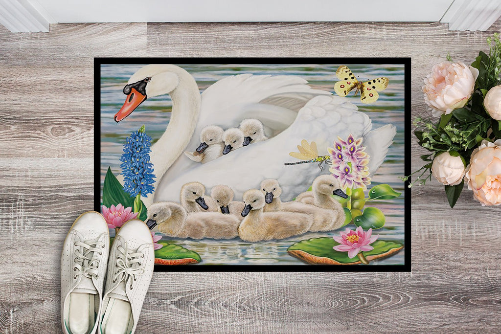 Mother Swan Doormat Indoor Outdoor 24H X 36W Front Door Mat Rugs for Entryway, Non Slip Washable Low Pile,