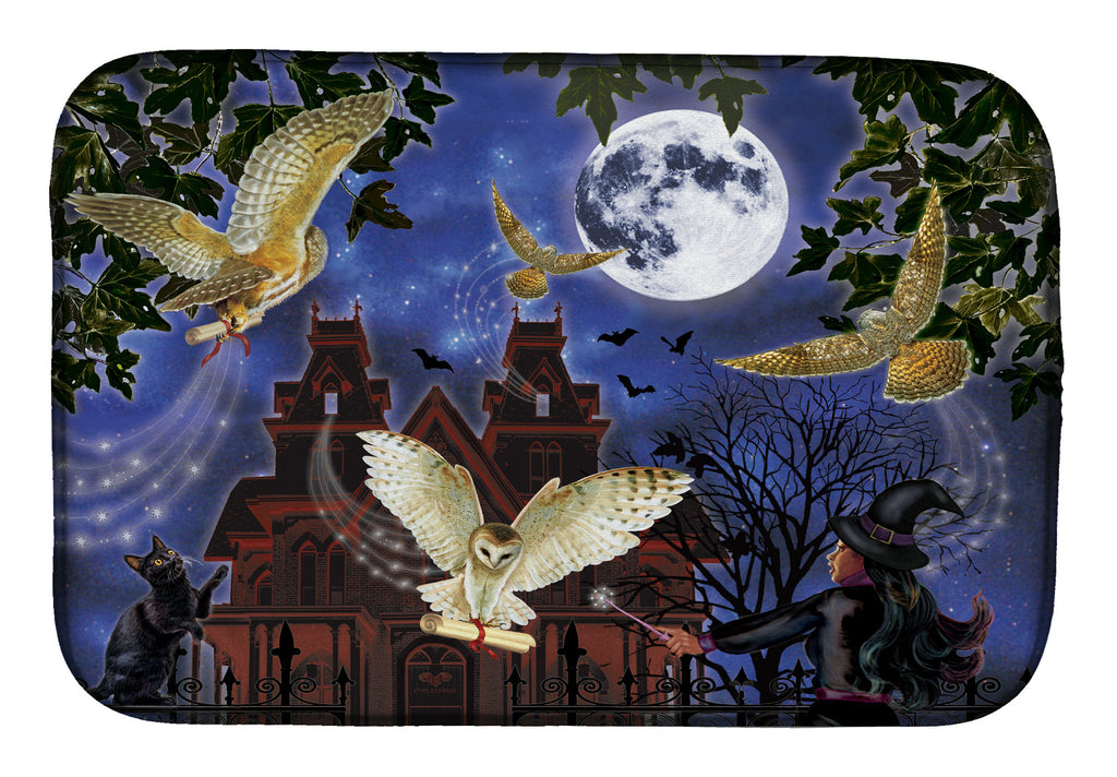 Halloween Owl Express Dish Drying Mat Absorbent Dish Drying Mat Pad for Kitchen Counter Dish Drainer Mat for Countertop, 14 x 21", Multicolor