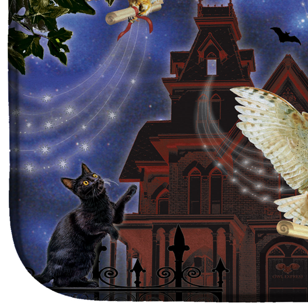 Halloween Owl Express Dish Drying Mat Absorbent Dish Drying Mat Pad for Kitchen Counter Dish Drainer Mat for Countertop, 14 x 21", Multicolor