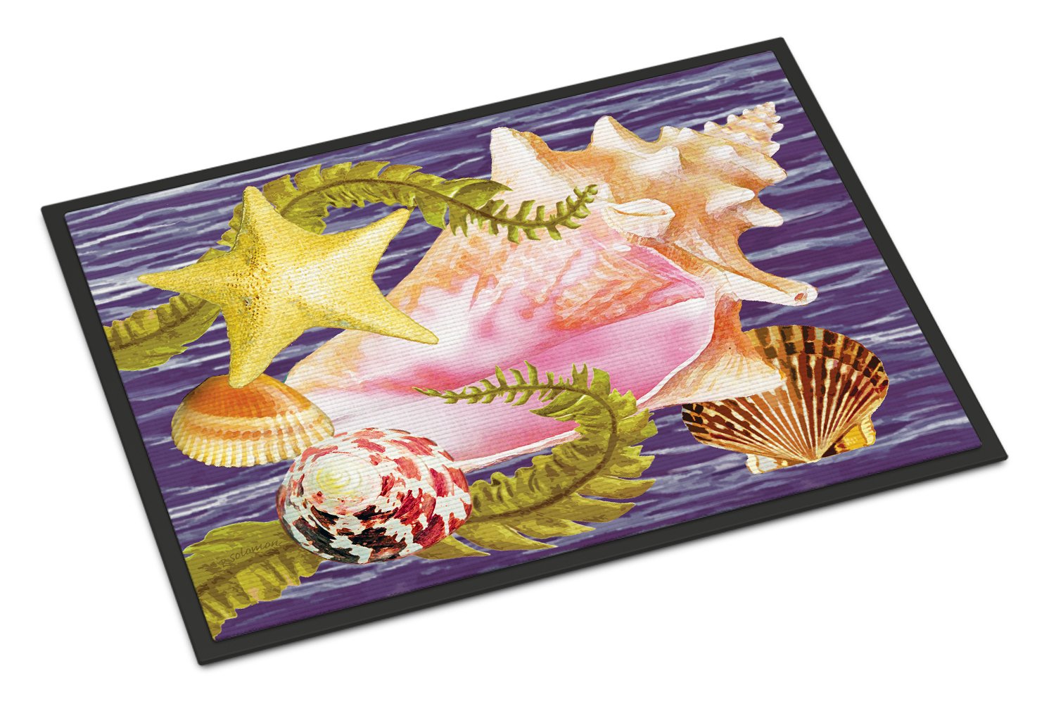 Conch And Starfish Doormat Indoor Outdoor 24H X 36W Front Door Mat Rugs for Entryway, Non Slip Washable Low Pile,