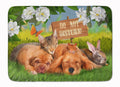 Golden Retriever and Sharpei Do Not Disturb Memory Foam Kitchen Mat Machine Washable Anti-Fatigue Cushion Comfort Bath or Kitchen Rug