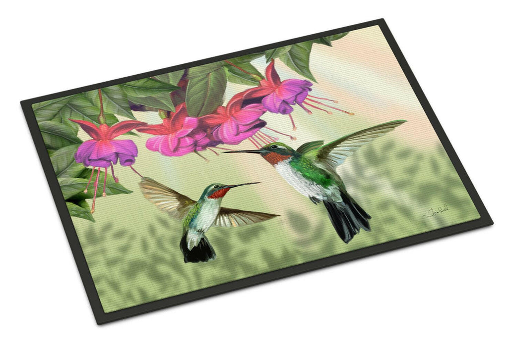 Fuchsia and Hummingbirds Doormat Indoor Outdoor 24H X 36W Front Door Mat Rugs for Entryway, Non Slip Washable Low Pile,