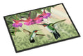 Fuchsia and Hummingbirds Doormat Indoor Outdoor 24H X 36W Front Door Mat Rugs for Entryway, Non Slip Washable Low Pile,