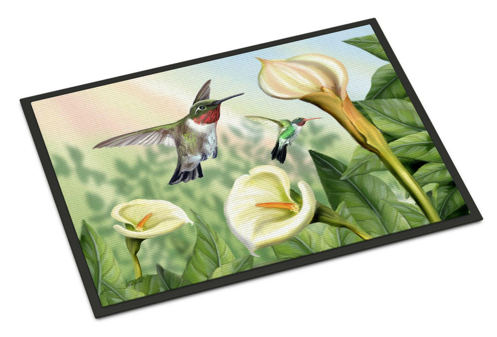 Lily and the Hummingbirds Doormat Indoor Outdoor 24H X 36W Front Door Mat Rugs for Entryway, Non Slip Washable Low Pile,