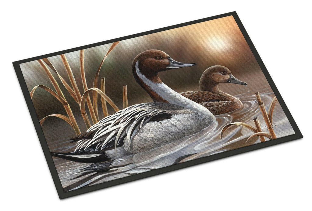 Pintails Doormat Indoor Outdoor 24H X 36W Front Door Mat Rugs for Entryway, Non Slip Washable Low Pile,