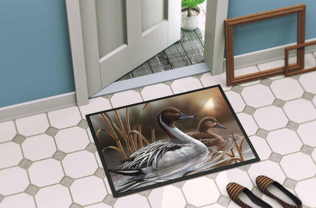 Pintails Doormat Indoor Outdoor 24H X 36W Front Door Mat Rugs for Entryway, Non Slip Washable Low Pile,