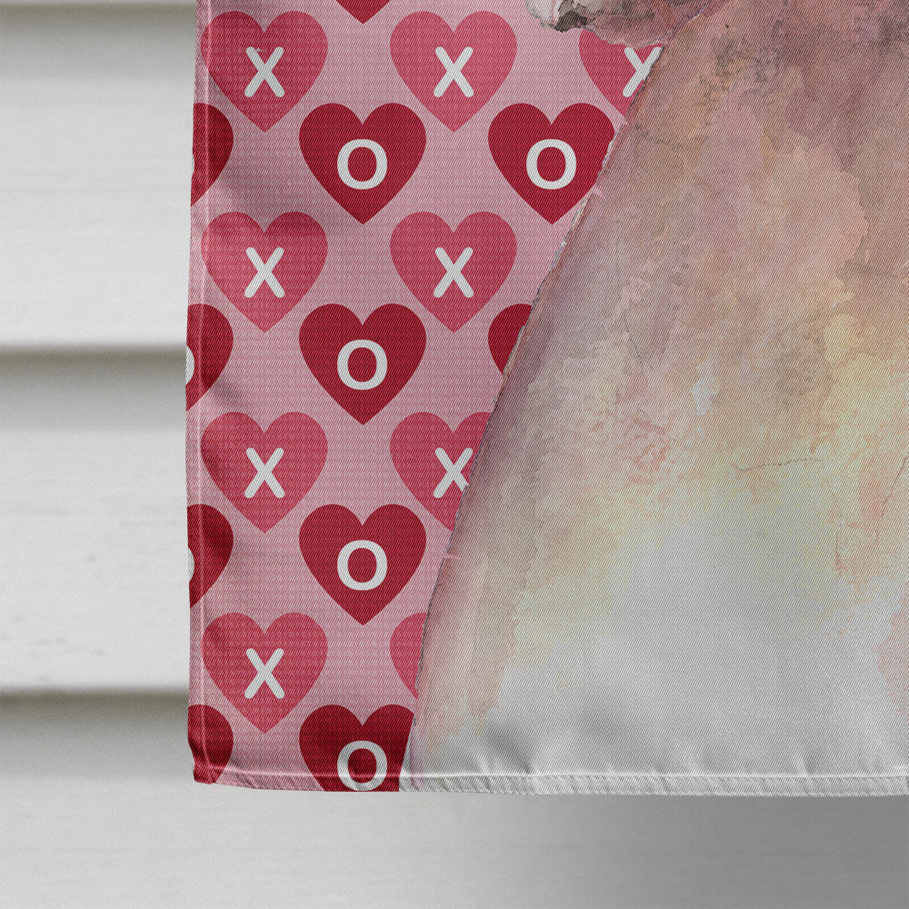 White Boxer Cooper Hearts and Love House Flag 28x40 Porch Sleeve Pole Decorative Outside Yard Banner Artwork Wall Hanging, Polyester