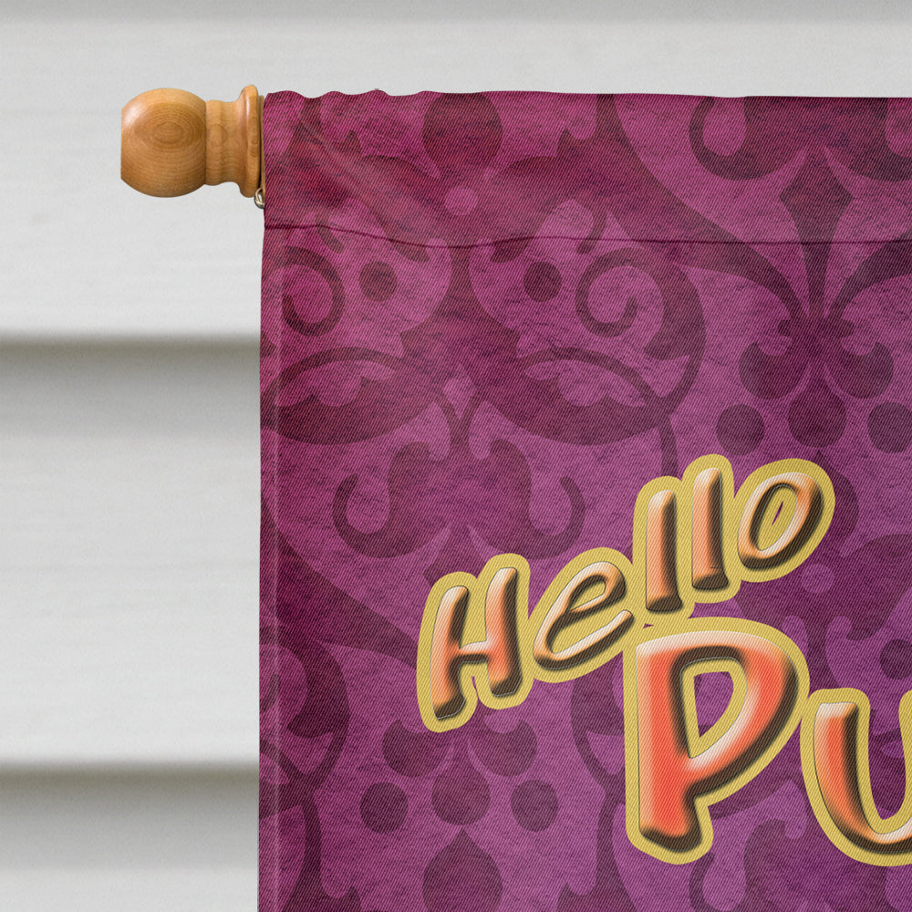 Hello Pumpkin Halloween House Flag 28x40 Porch Sleeve Pole Decorative Outside Yard Banner Artwork Wall Hanging, Polyester