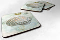 Beach Conch Shell Top Foam Coasters Set of 4 Cup Coasters for Indoor Outdoor, Tabletop Protection, Anti Slip, Mouse pad Material