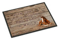 Kick off your boots and stay a while Doormat Indoor Outdoor 24H X 36W Front Door Mat Rugs for Entryway, Non Slip Washable Low Pile,