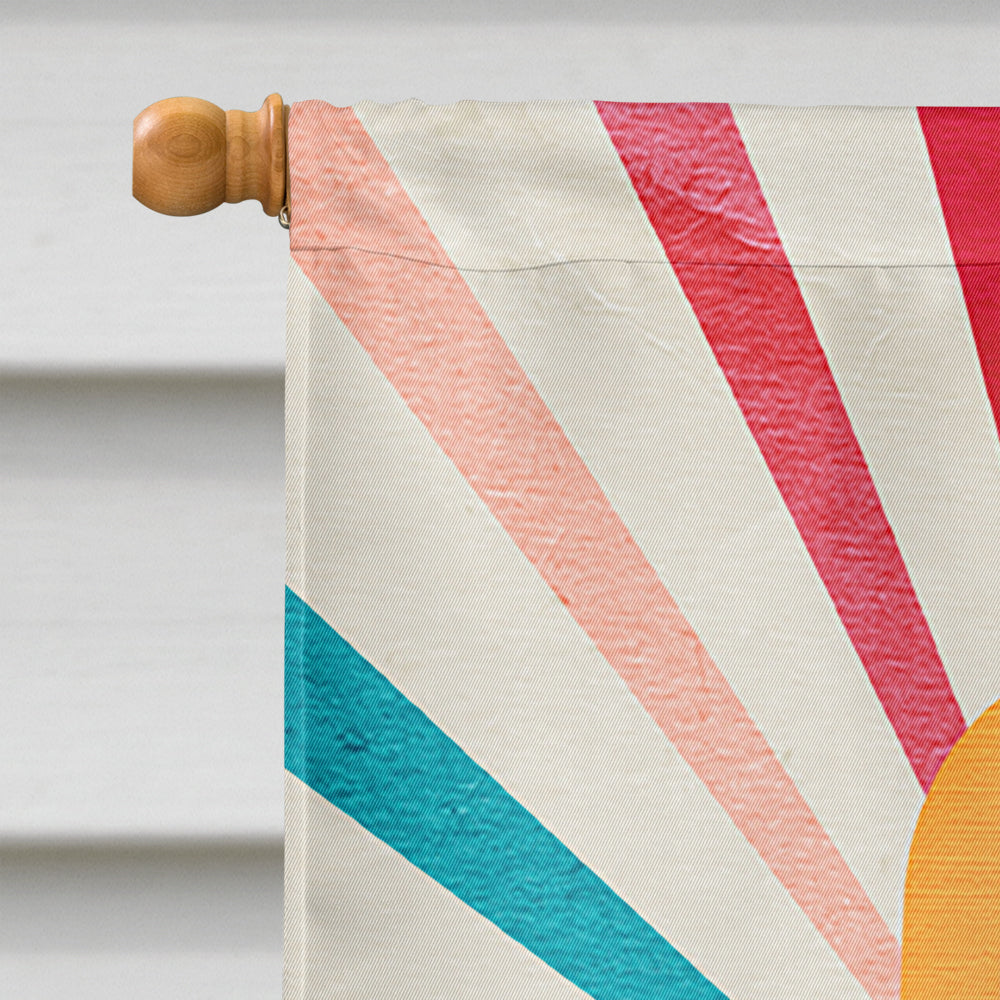 Orange Popsicle House Flag 28x40 Porch Sleeve Pole Decorative Outside Yard Banner Artwork Wall Hanging, Polyester