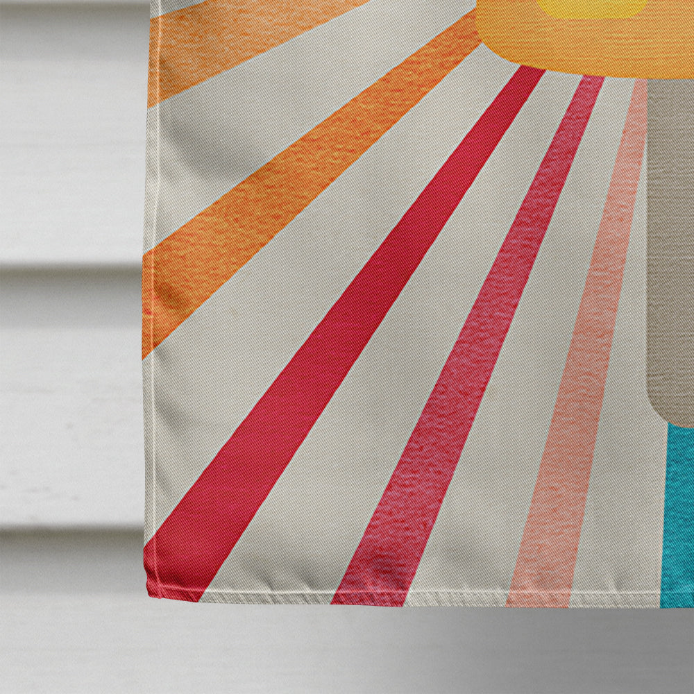 Orange Popsicle House Flag 28x40 Porch Sleeve Pole Decorative Outside Yard Banner Artwork Wall Hanging, Polyester