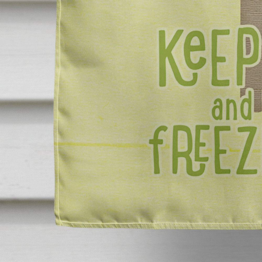 Keep Calm and Eat Freeze Pops Popsicle House Flag 28x40 Porch Sleeve Pole Decorative Outside Yard Banner Artwork Wall Hanging, Polyester