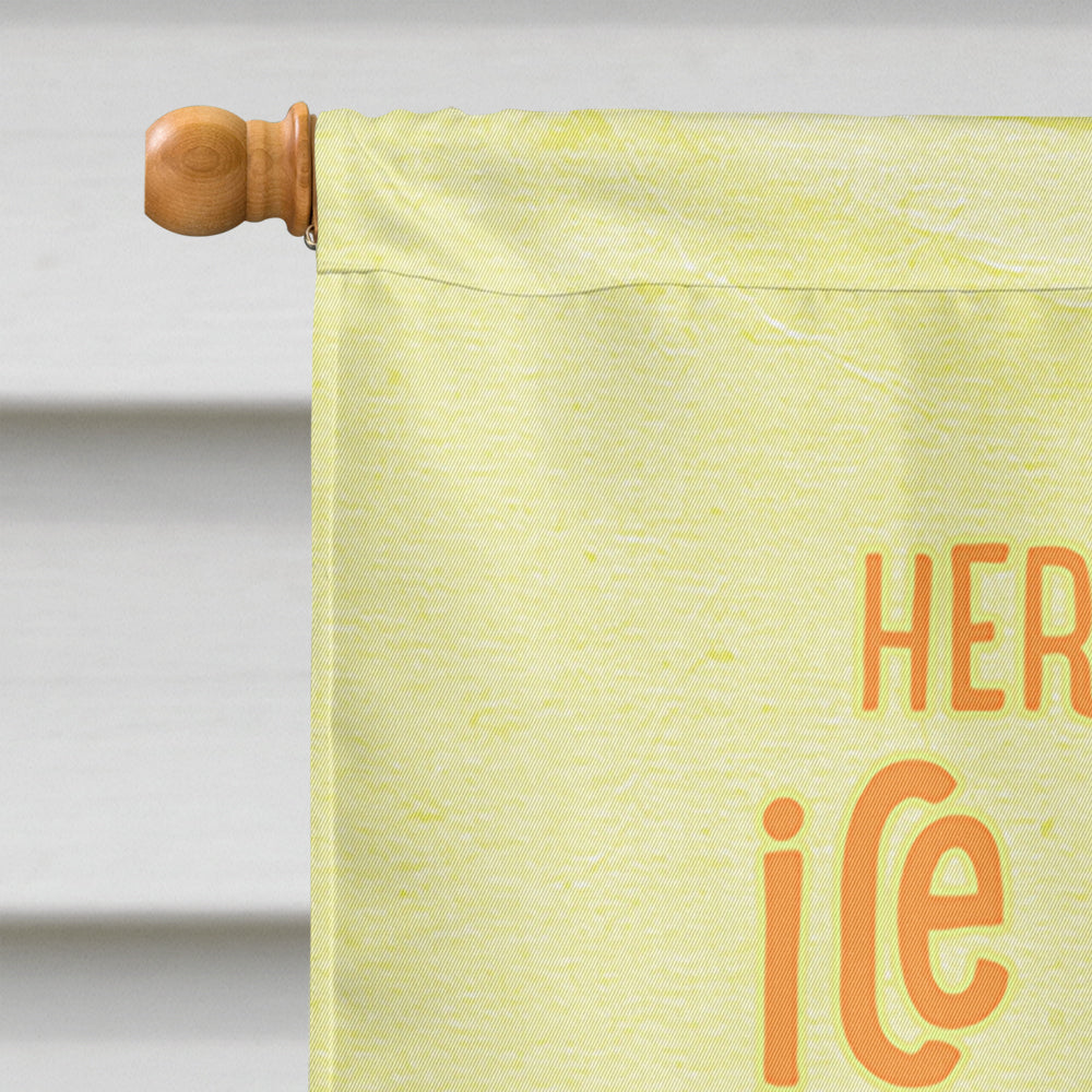 Here comes the ice cream truck House Flag 28x40 Porch Sleeve Pole Decorative Outside Yard Banner Artwork Wall Hanging, Polyester