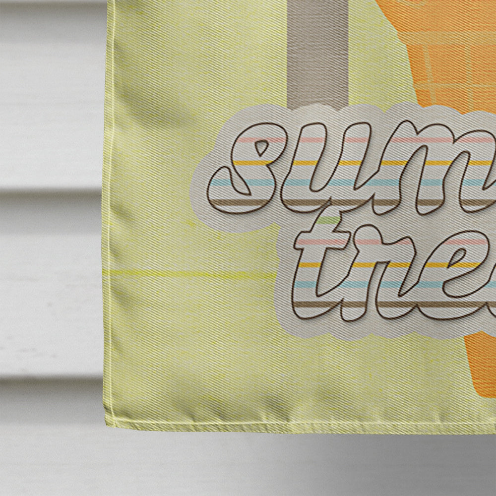 Summer Treats House Flag 28x40 Porch Sleeve Pole Decorative Outside Yard Banner Artwork Wall Hanging, Polyester