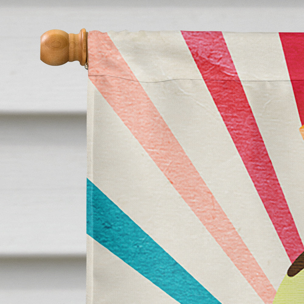 Ice Cream shop or stand Open House Flag 28x40 Porch Sleeve Pole Decorative Outside Yard Banner Artwork Wall Hanging, Polyester