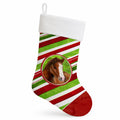 Horse Foal Candy Cane Holiday Christmas Holiday Stocking Double-Sided Print, Polyester Suede,11x18, Made in USA