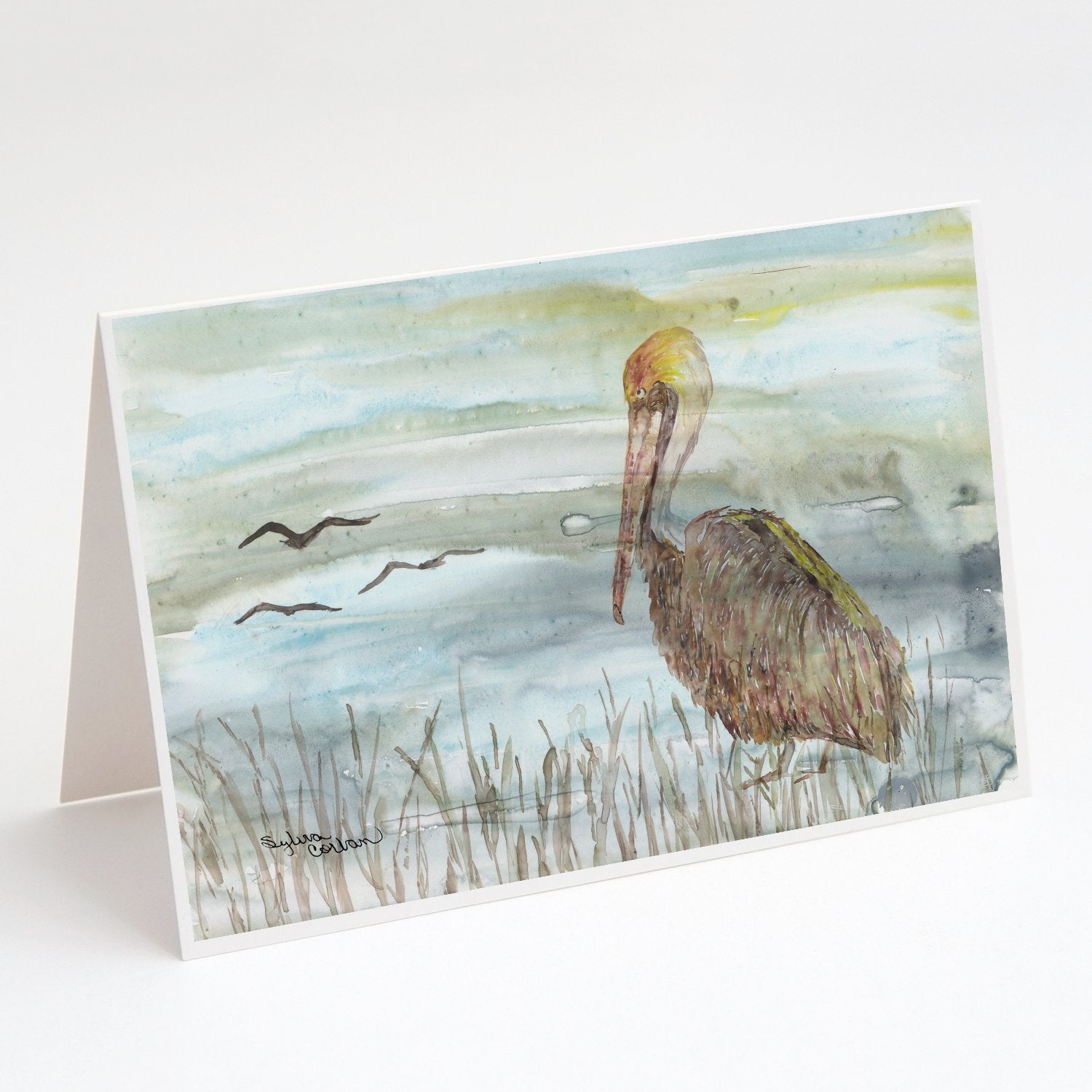 Brown Pelican Watercolor Greeting Cards Pack of 8 Blank Cards with Envelopes Whimsical A7 Size 5x7