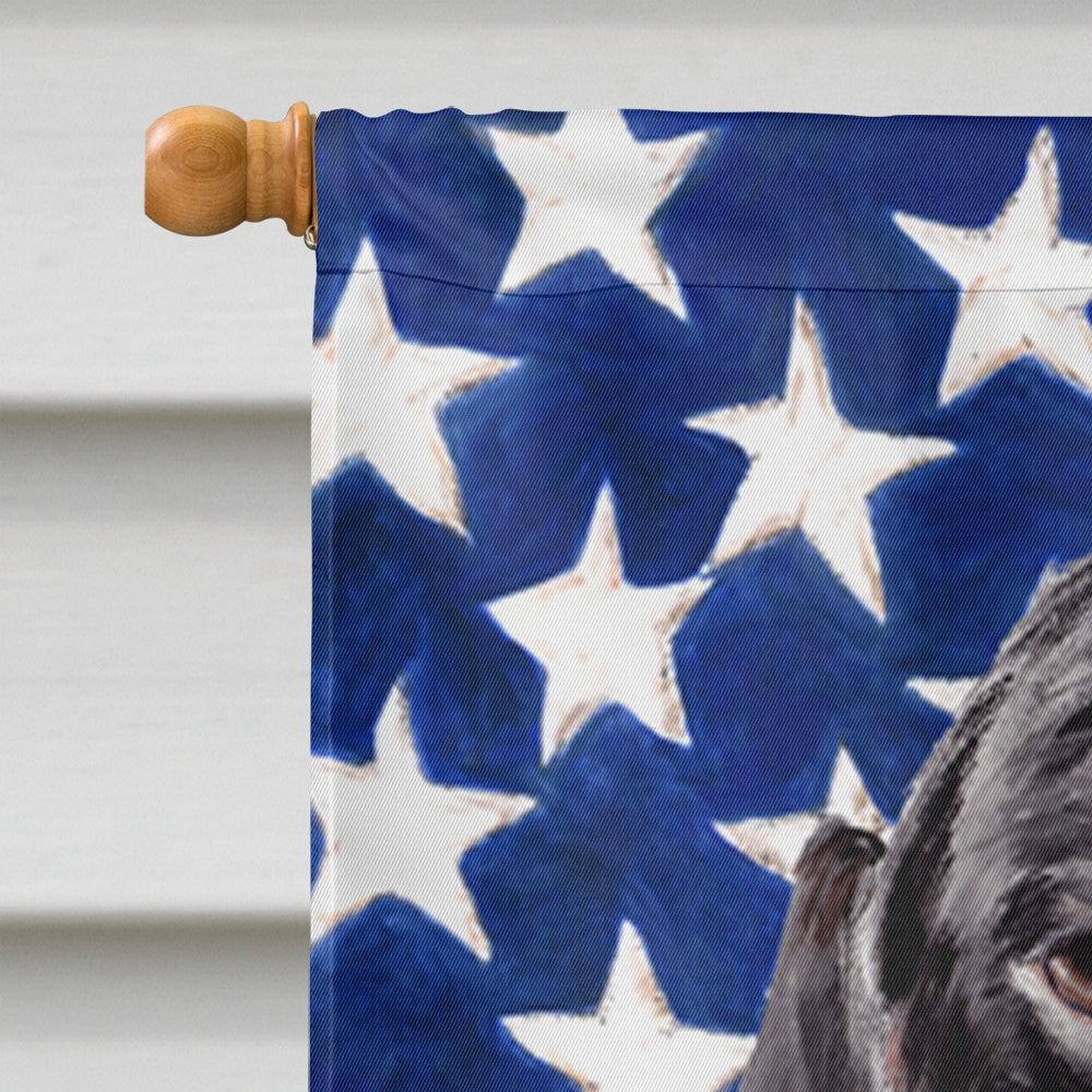 USA American Flag with Dachshund House Flag 28x40 Porch Sleeve Pole Decorative Outside Yard Banner Artwork Wall Hanging, Polyester