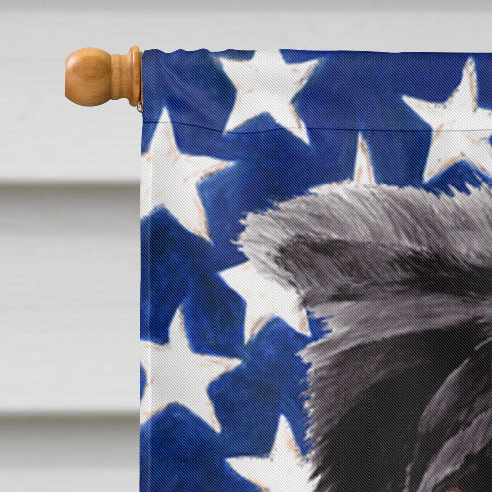 USA American Flag with Border Collie House Flag 28x40 Porch Sleeve Pole Decorative Outside Yard Banner Artwork Wall Hanging, Polyester