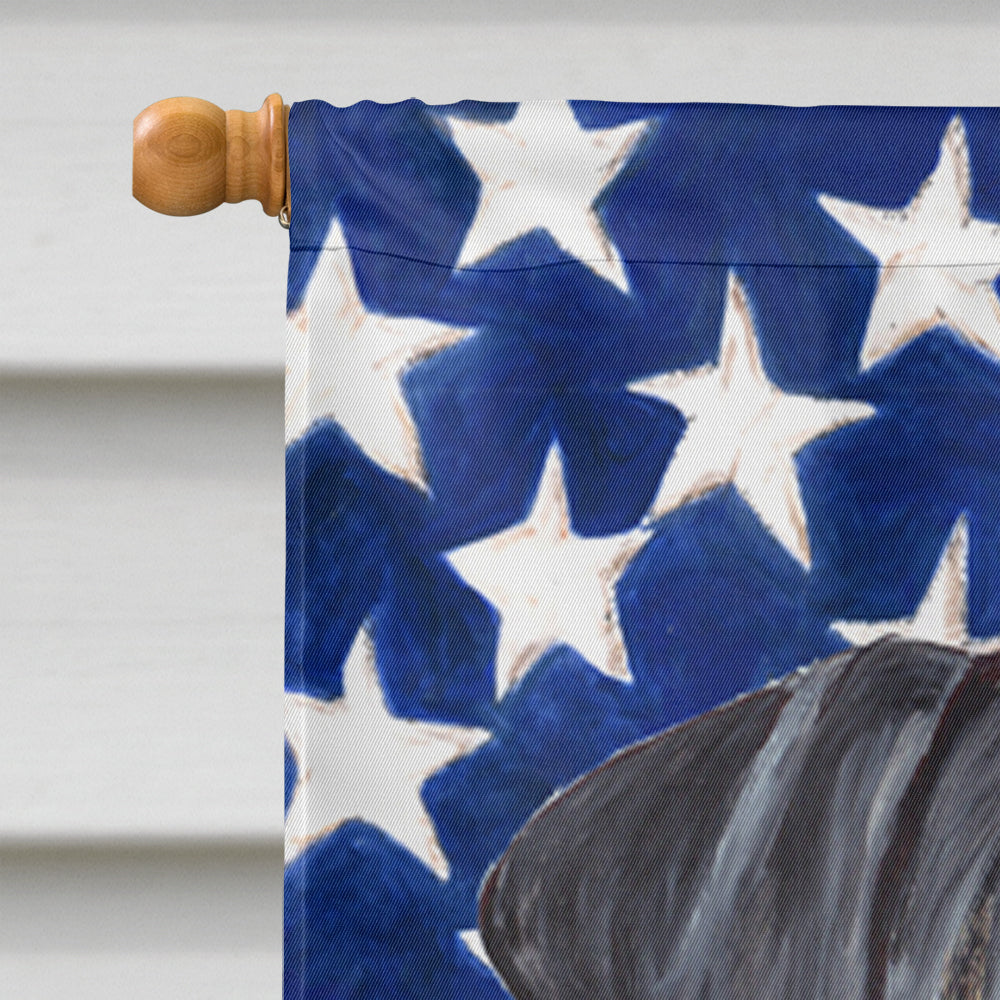 USA American Flag with Doberman House Flag 28x40 Porch Sleeve Pole Decorative Outside Yard Banner Artwork Wall Hanging, Polyester