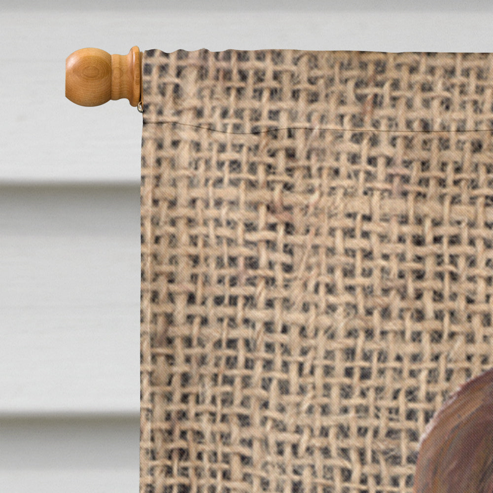 Welsh Springer Spaniel Faux Burlap and Pine cones House Flag 28x40 Porch Sleeve Pole Decorative Outside Yard Banner Artwork Wall Hanging, Polyester