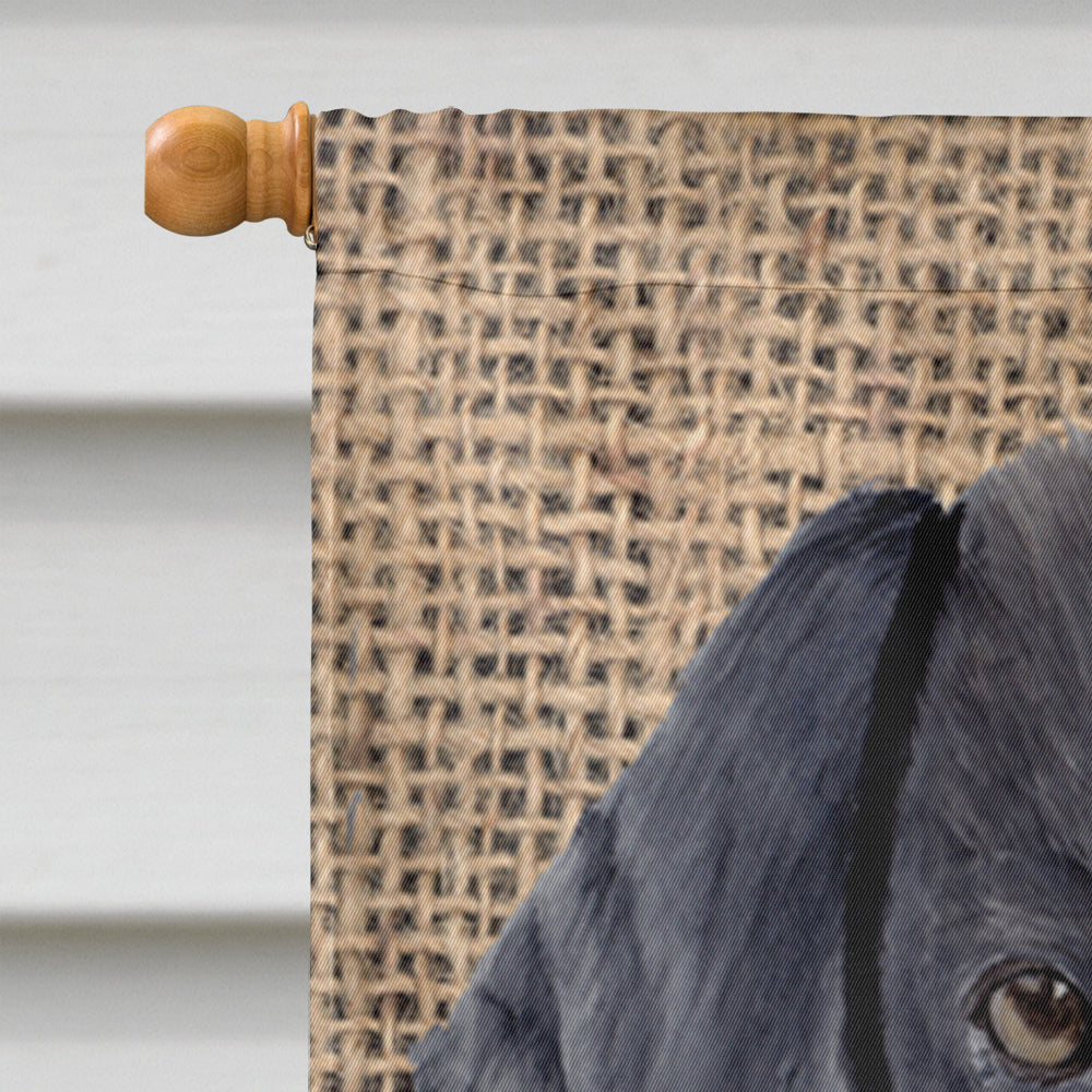 Labrador Faux Burlap and Pine cones House Flag 28x40 Porch Sleeve Pole Decorative Outside Yard Banner Artwork Wall Hanging, Polyester