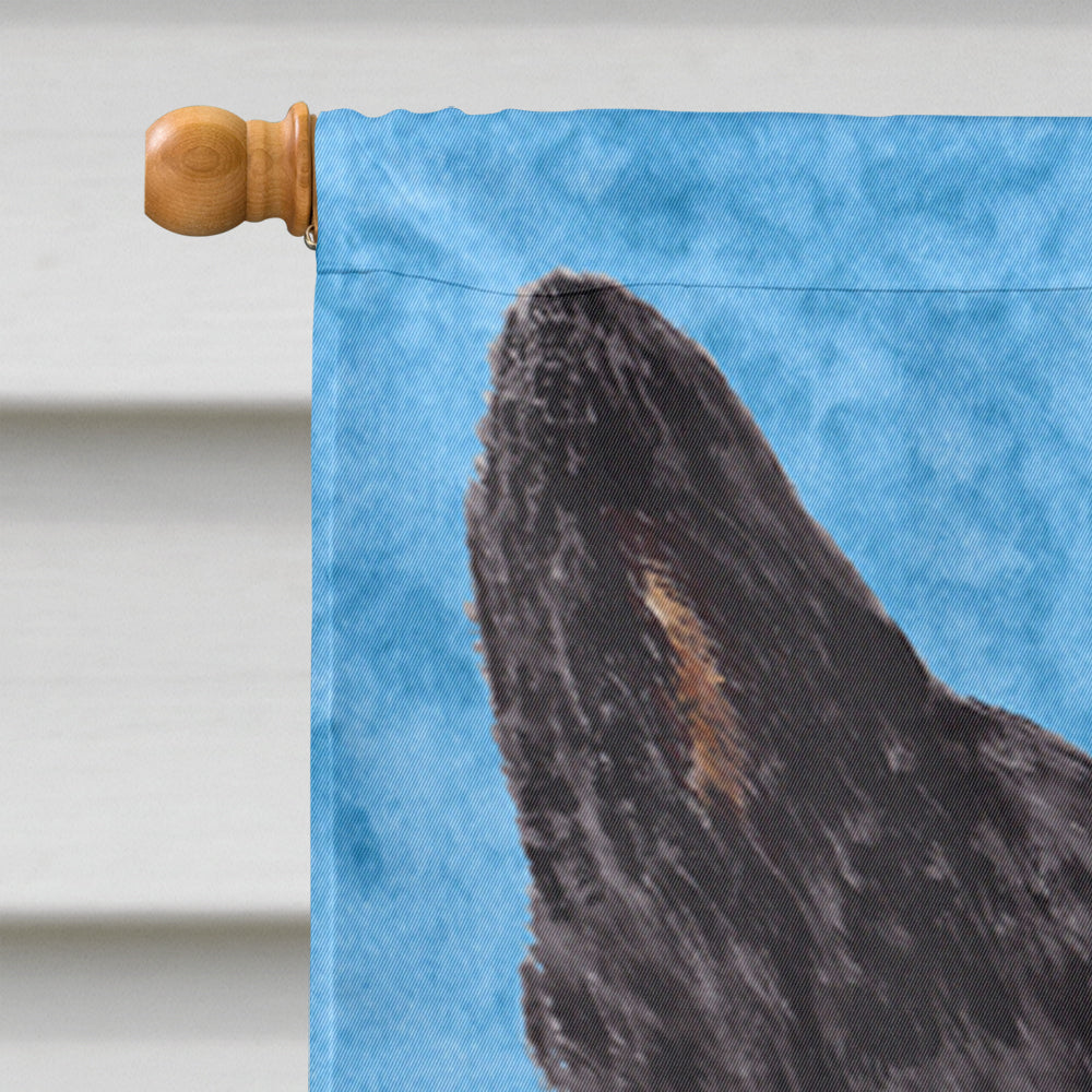 Australian Cattle Dog in Summer Flowers House Flag 28x40 Porch Sleeve Pole Decorative Outside Yard Banner Artwork Wall Hanging, Polyester
