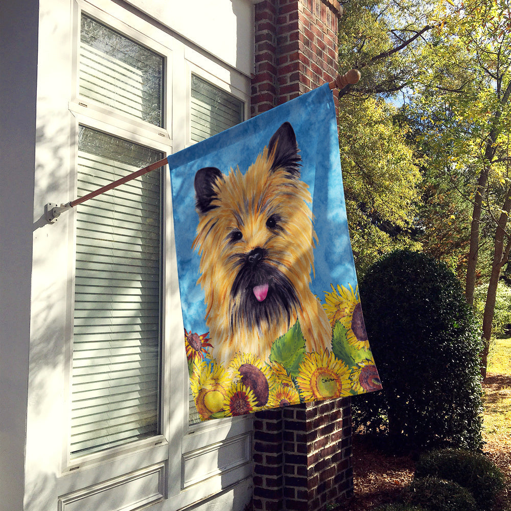 Cairn Terrier in Summer Flowers House Flag 28x40 Porch Sleeve Pole Decorative Outside Yard Banner Artwork Wall Hanging, Polyester
