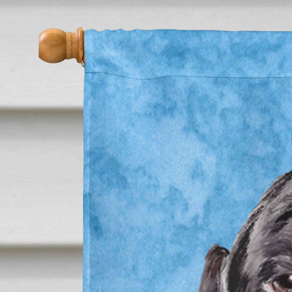 Dachshund in Summer Flowers House Flag 28x40 Porch Sleeve Pole Decorative Outside Yard Banner Artwork Wall Hanging, Polyester