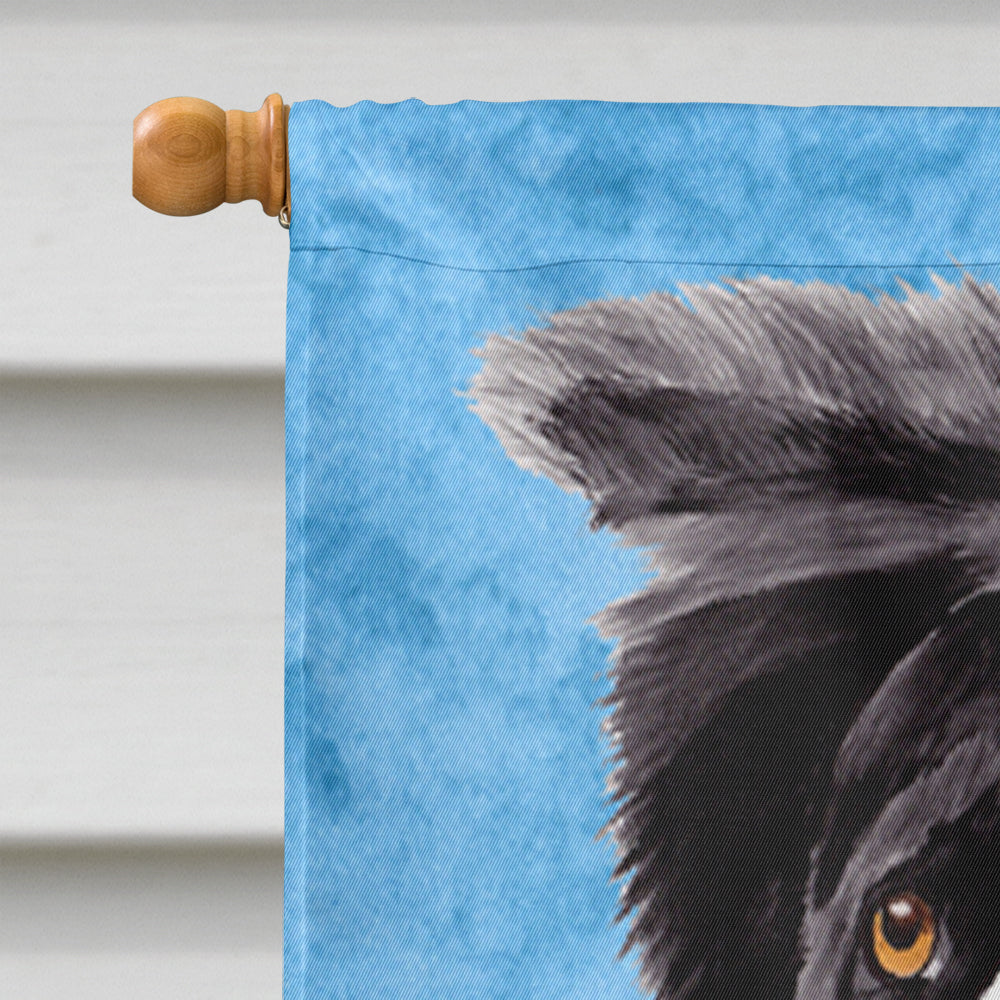 Border Collie in Summer Flowers House Flag 28x40 Porch Sleeve Pole Decorative Outside Yard Banner Artwork Wall Hanging, Polyester