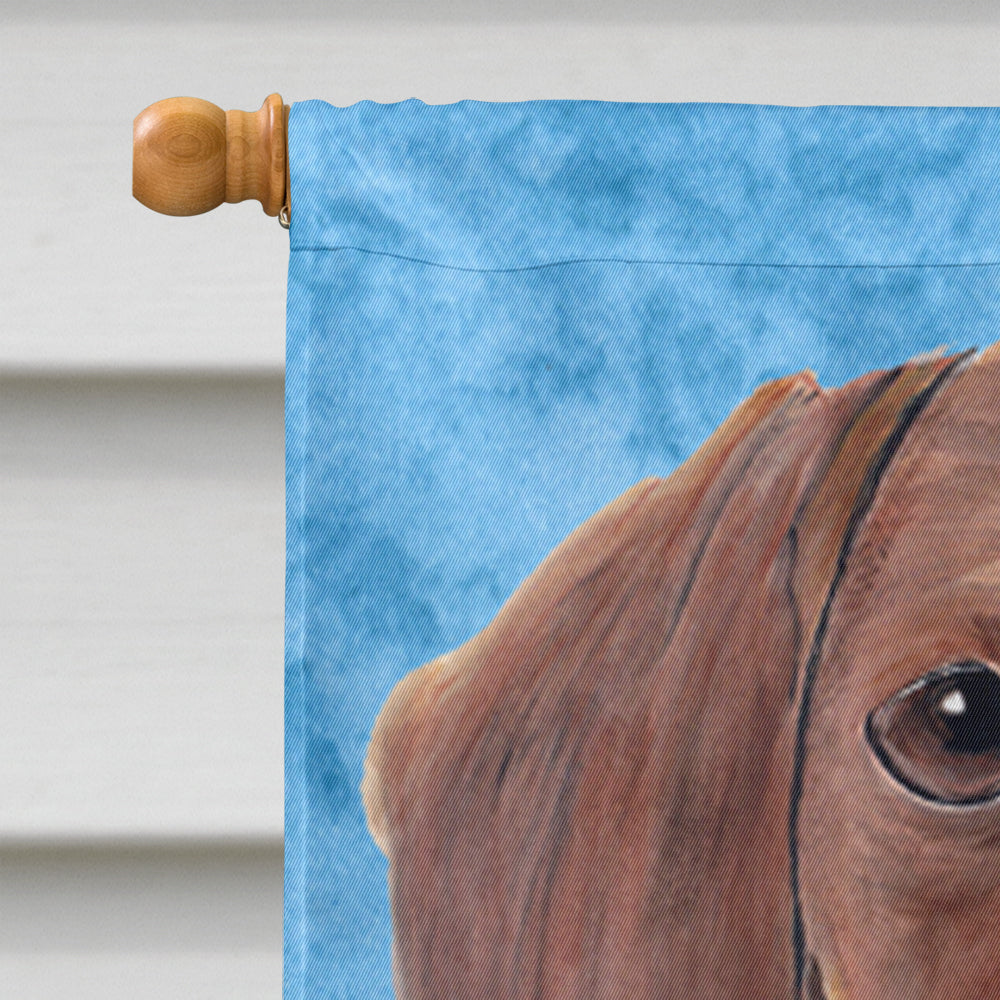 Dachshund in Summer Flowers House Flag 28x40 Porch Sleeve Pole Decorative Outside Yard Banner Artwork Wall Hanging, Polyester