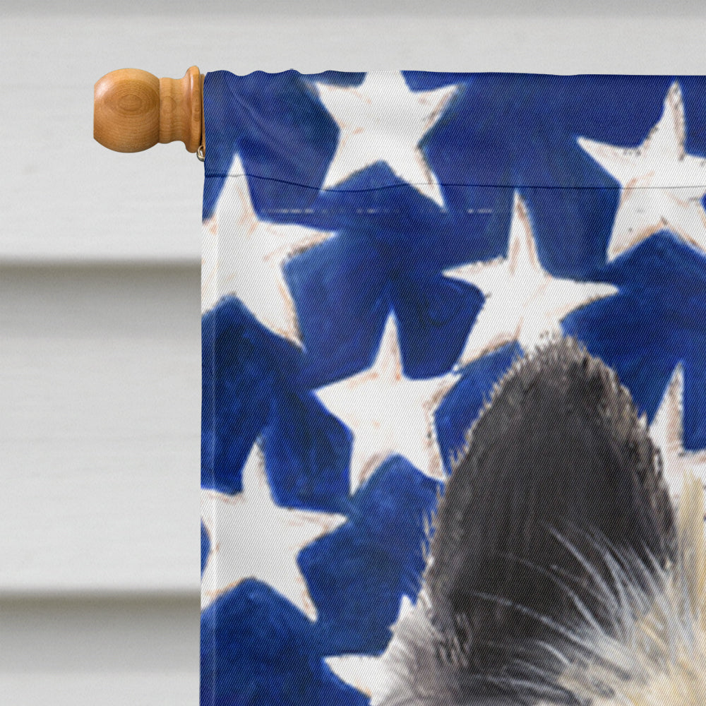 USA American Flag with Belgian Tervuren House Flag 28x40 Porch Sleeve Pole Decorative Outside Yard Banner Artwork Wall Hanging, Polyester