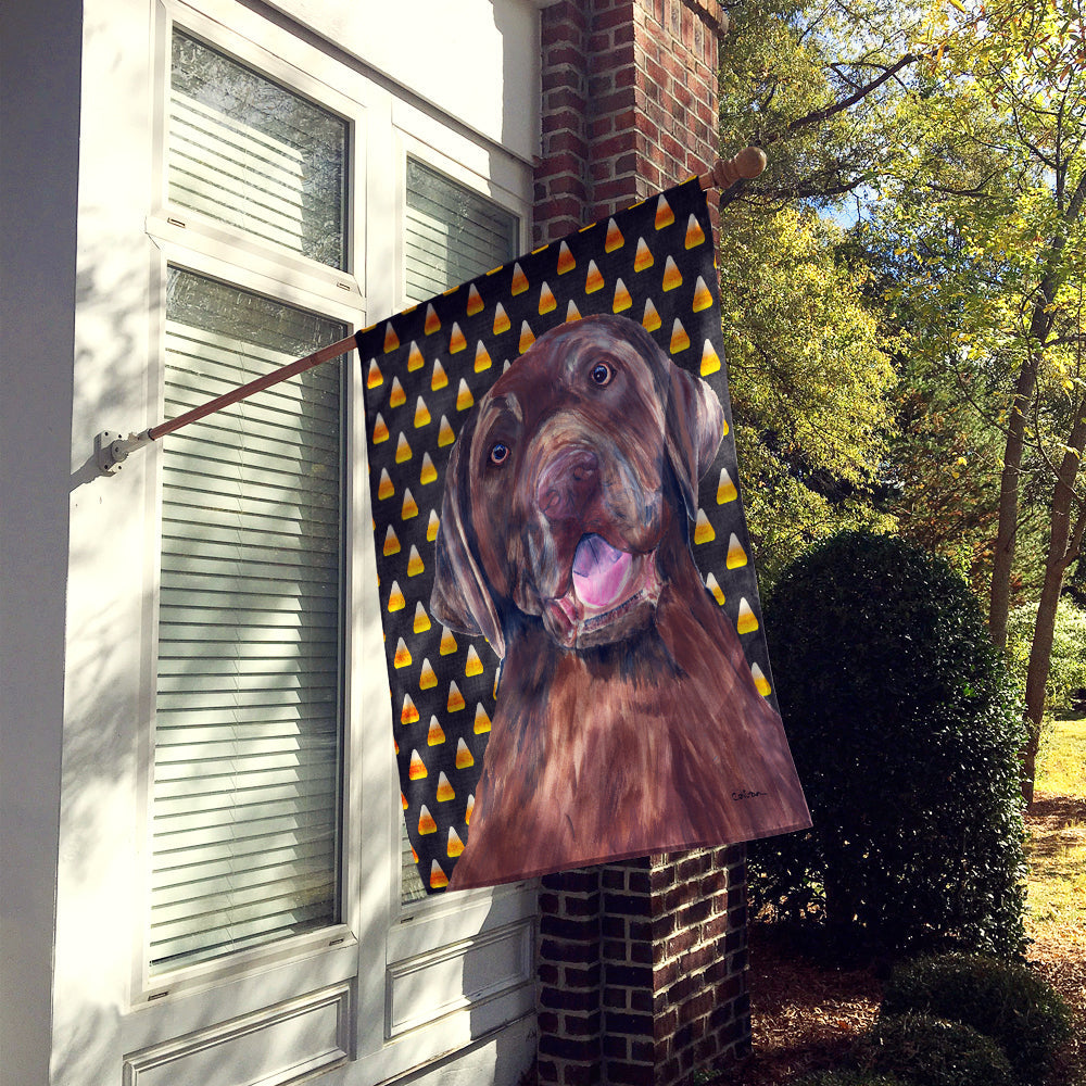 Labrador Chocolate Candy Corn Halloween Portrait House Flag 28x40 Porch Sleeve Pole Decorative Outside Yard Banner Artwork Wall Hanging, Polyester