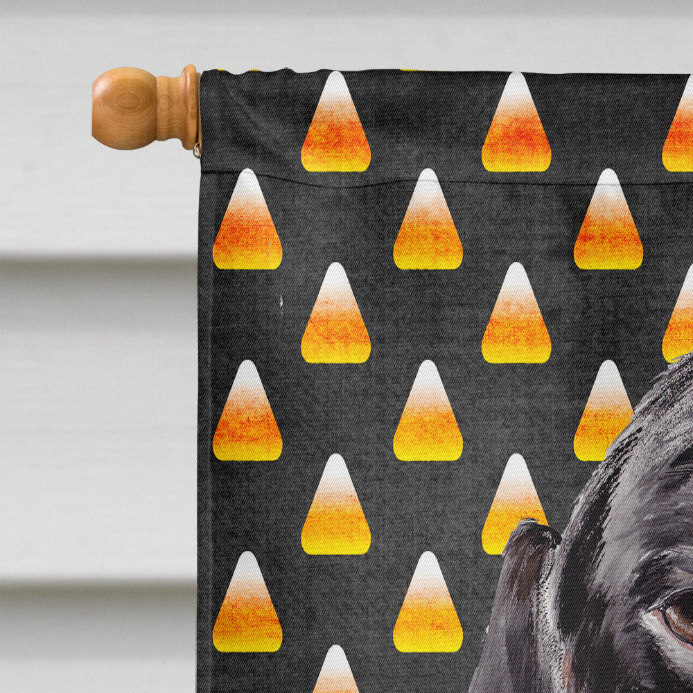 Dachshund Candy Corn Halloween Portrait House Flag 28x40 Porch Sleeve Pole Decorative Outside Yard Banner Artwork Wall Hanging, Polyester