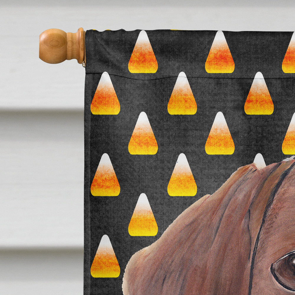 Dachshund Candy Corn Halloween Portrait House Flag 28x40 Porch Sleeve Pole Decorative Outside Yard Banner Artwork Wall Hanging, Polyester