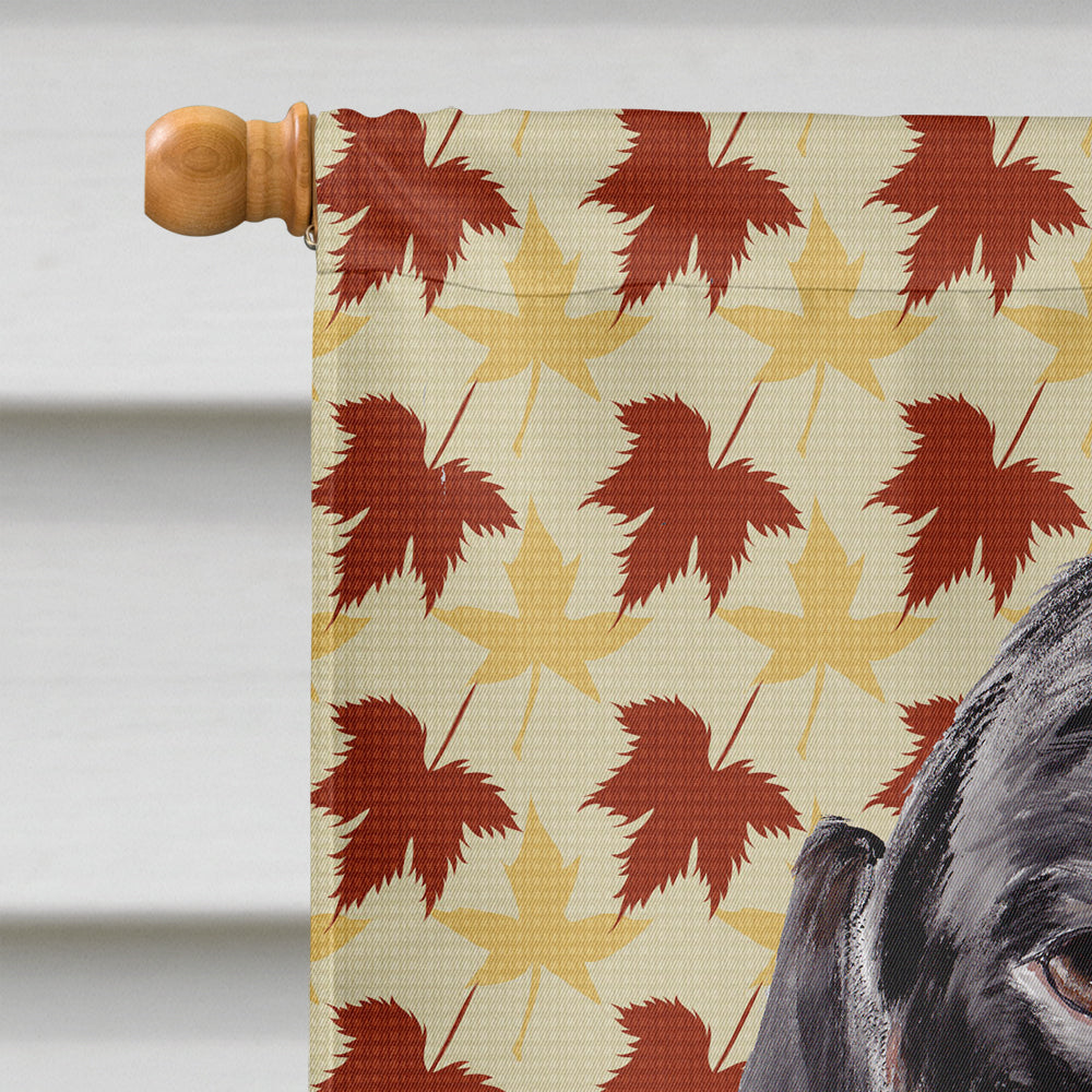 Dachshund Fall Leaves Portrait House Flag 28x40 Porch Sleeve Pole Decorative Outside Yard Banner Artwork Wall Hanging, Polyester