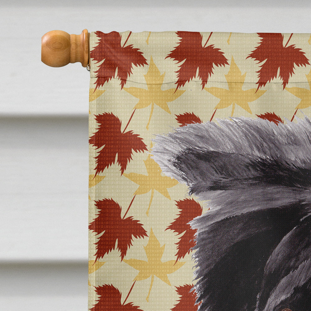 Border Collie Fall Leaves Portrait House Flag 28x40 Porch Sleeve Pole Decorative Outside Yard Banner Artwork Wall Hanging, Polyester