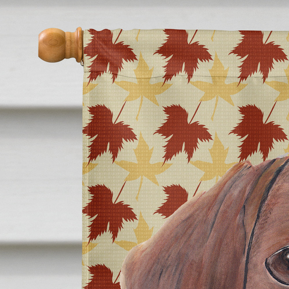 Dachshund Fall Leaves Portrait House Flag 28x40 Porch Sleeve Pole Decorative Outside Yard Banner Artwork Wall Hanging, Polyester