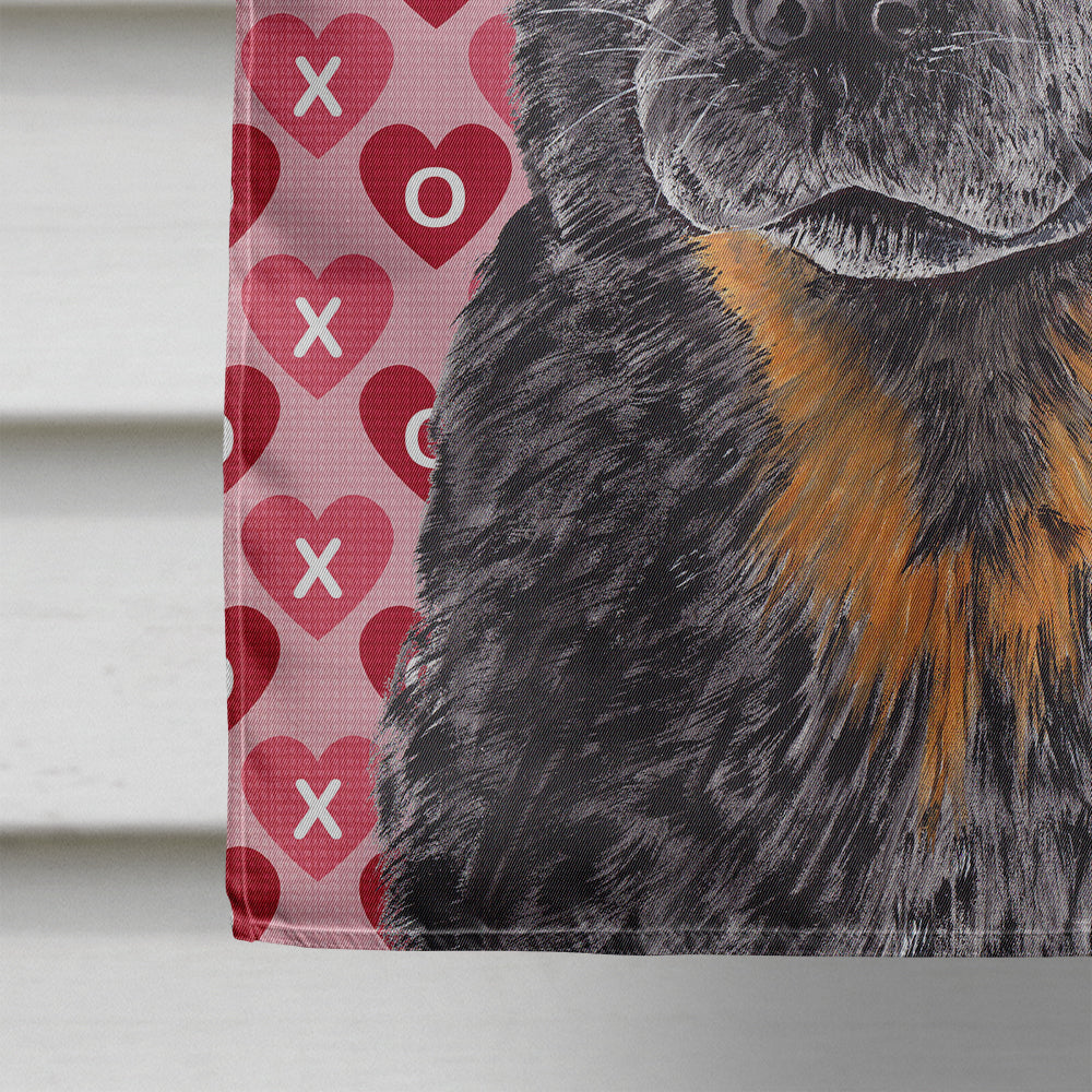 Australian Cattle Dog Hearts Love Valentine's Day House Flag 28x40 Porch Sleeve Pole Decorative Outside Yard Banner Artwork Wall Hanging, Polyester