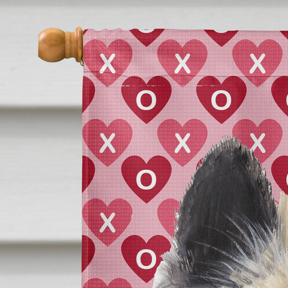 Belgian Tervuren Hearts Love and Valentine's Day Portrait House Flag 28x40 Porch Sleeve Pole Decorative Outside Yard Banner Artwork Wall Hanging, Polyester