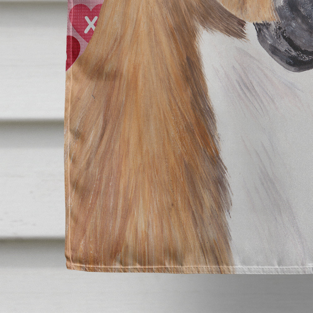 Boxer Hearts Love and Valentine's Day Portrait House Flag 28x40 Porch Sleeve Pole Decorative Outside Yard Banner Artwork Wall Hanging, Polyester