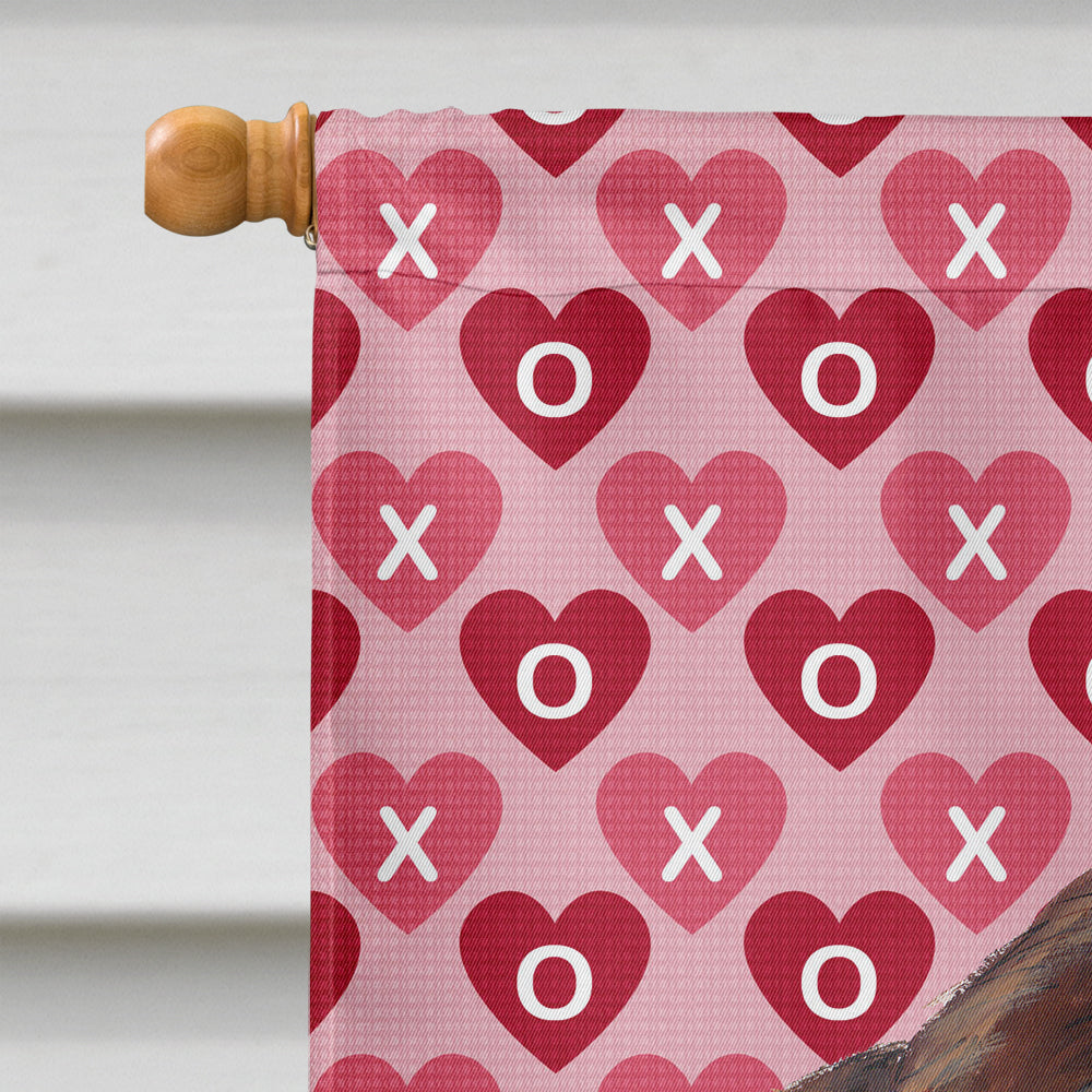 Welsh Springer Spaniel Hearts and Love House Flag 28x40 Porch Sleeve Pole Decorative Outside Yard Banner Artwork Wall Hanging, Polyester