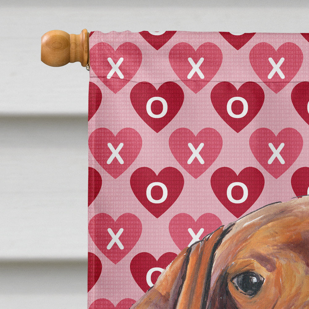 Vizsla Hearts Love and Valentine's Day Portrait House Flag 28x40 Porch Sleeve Pole Decorative Outside Yard Banner Artwork Wall Hanging, Polyester
